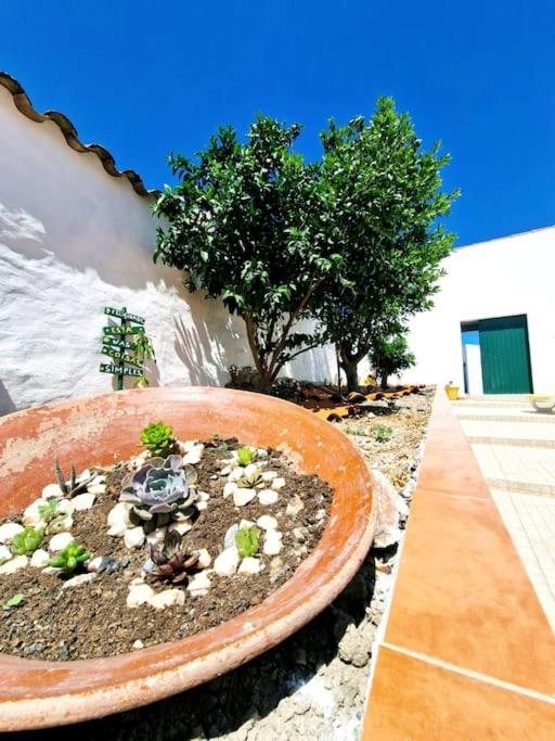 Villa Casa Da Enxota Povoa de Sao Miguel Exterior foto